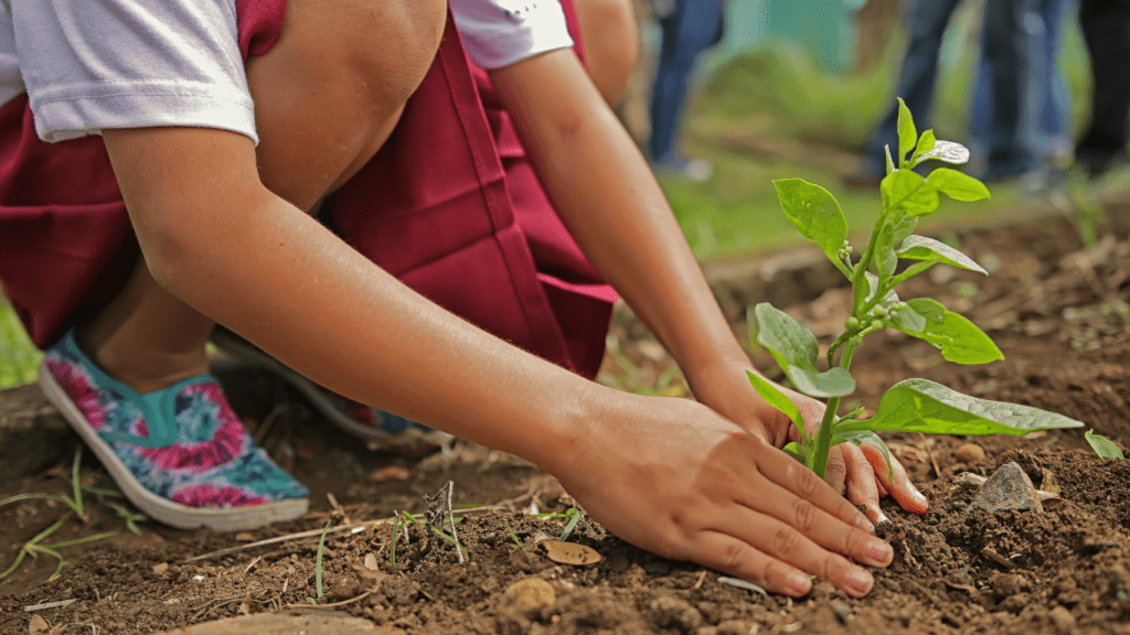 a person is planting a tree in the ground