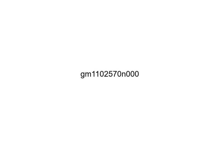 gm1102570n000