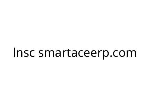 lnsc smartaceerp.com