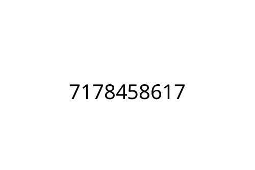 7178458617