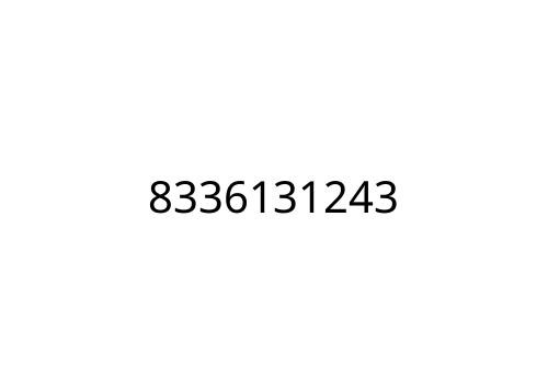 8336131243