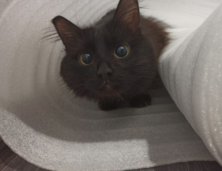 new gardening product xhasrloranit