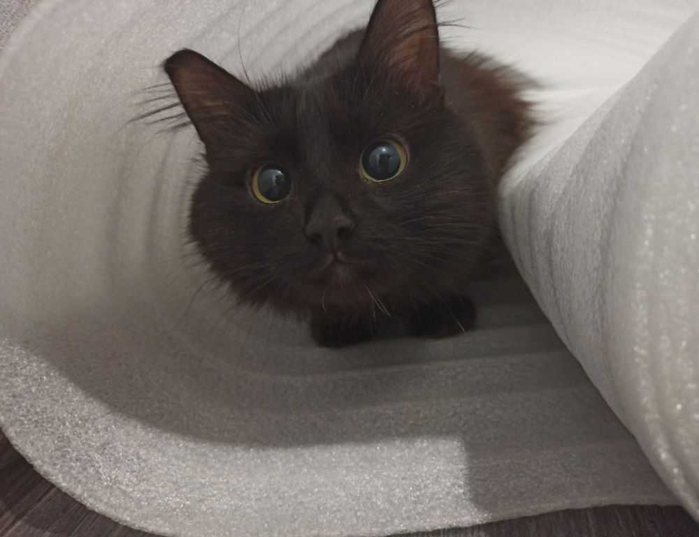 new gardening product xhasrloranit