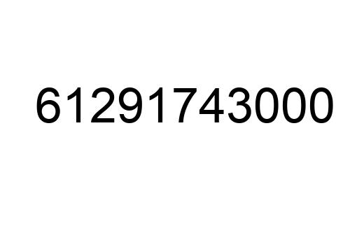 61291743000