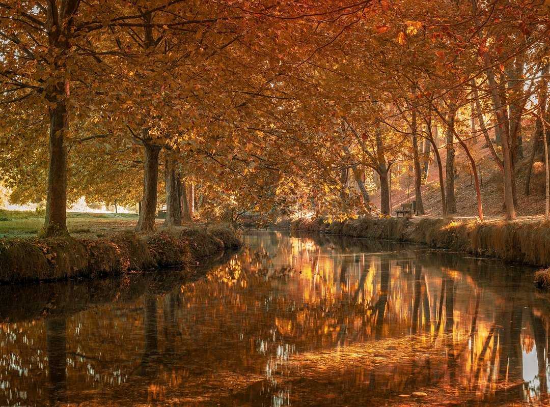 Comparación de Estilos de Juego