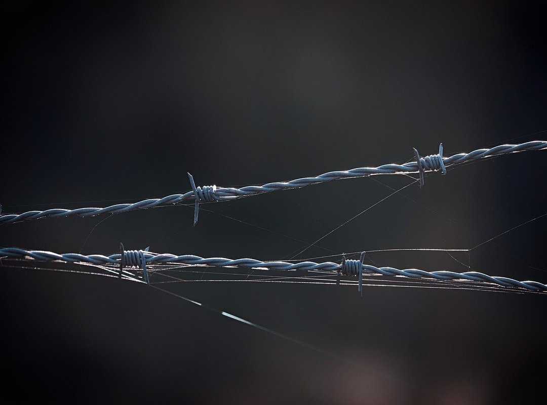 Famparentlife Entrepreneurial Parent Infoguide From Famousparenting