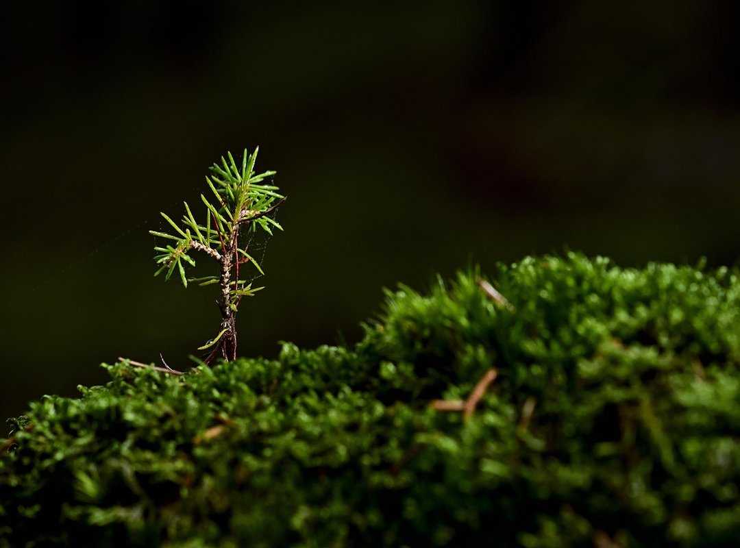 Nldburma 10 Famparentlife Learning Activities