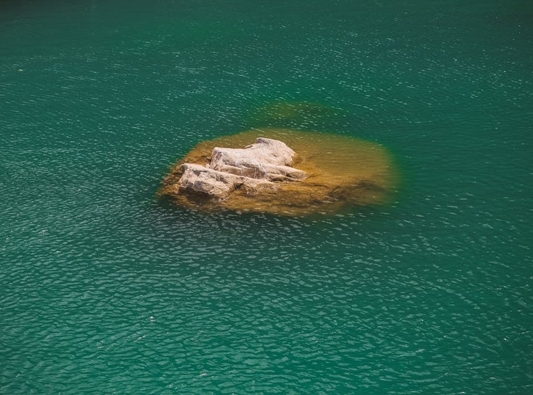 Rosa Joanna Farrell: The White Mage of Baron