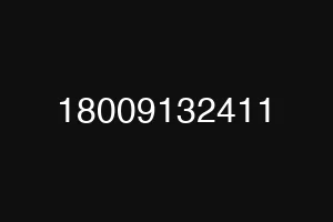 18009132411