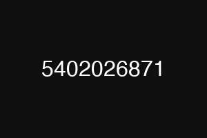 5402026871