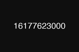16177623000