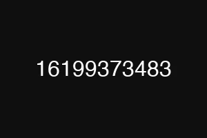16199373483