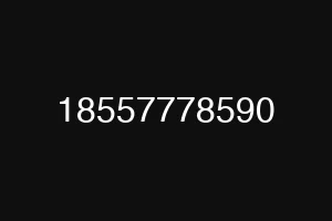 18557778590