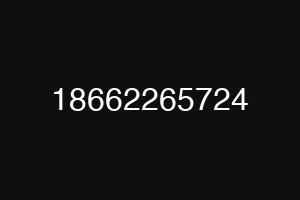 18662265724