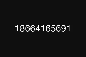 18664165691