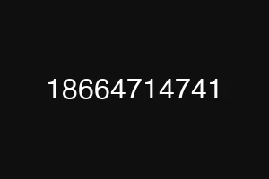 18664714741