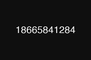 18665841284