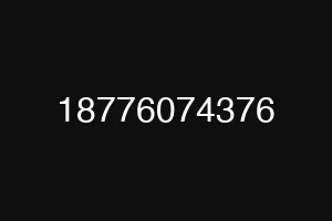 18776074376
