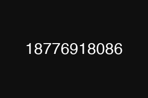 18776918086
