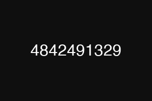 4842491329