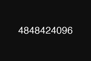 4848424096