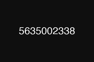 5635002338