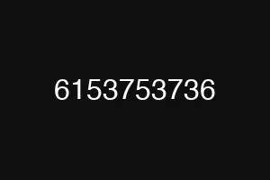 6153753736