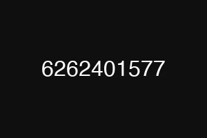 6262401577