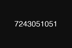 7243051051