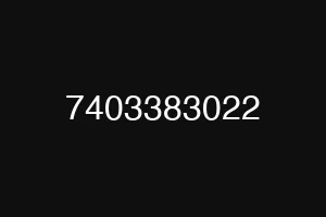 7403383022