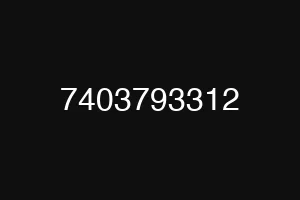 7403793312