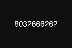 8032666262