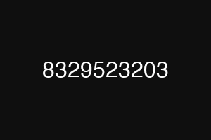 8329523203