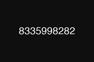 8335998282