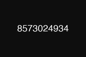 8573024934