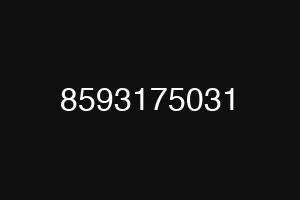 8593175031