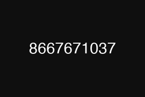 8667671037
