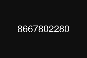 8667802280