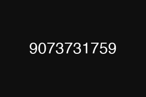 9073731759