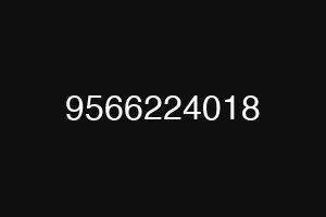 9566224018